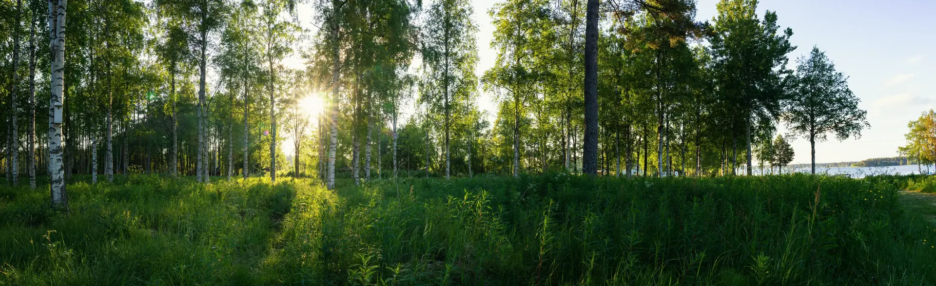 Ventilation i Sverige — BytaFTXaggregat.nu